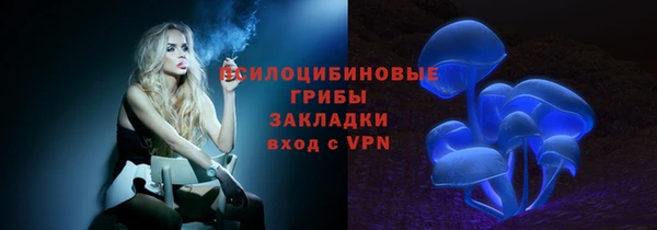 apvp Абаза