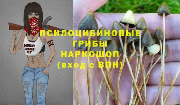 дурь Абдулино