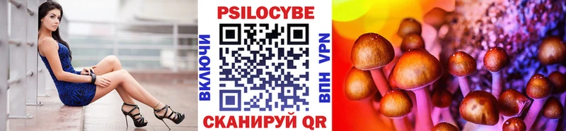 Псилоцибиновые грибы прущие грибы  где купить   Кинешма 