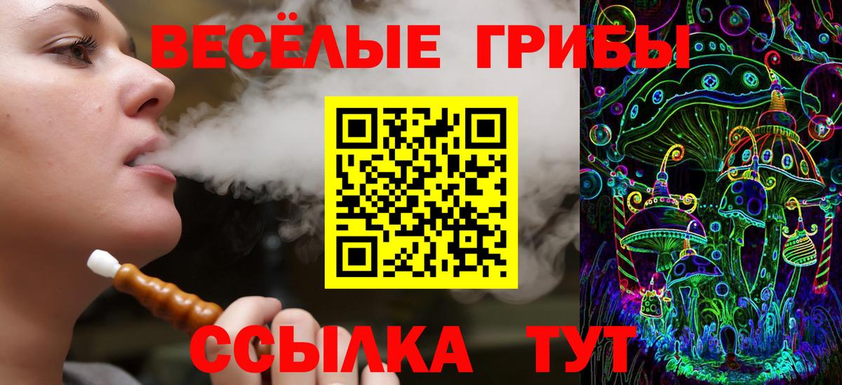 Псилоцибиновые грибы GOLDEN TEACHER  Псилоцибиновые грибы мицелий  Кинешма  Вход с VPN 